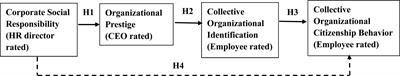 Corporate Social Responsibility and Collective OCB: A Social Identification Perspective